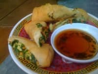 Sample 2 – Spring rolls