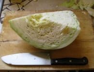 Sample 4 – Head cabbage