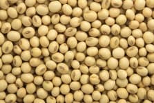 Sample 1 – Soy