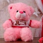 Sample 5 – Teddy bear
