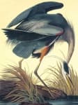 Sample 5 – Heron