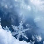 Sample 3 – Snowflake