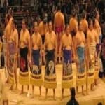 Sample 6 – Sumo wrestling
