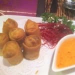 Sample 6 – Spring rolls