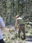 Sample 3 – Chain saw