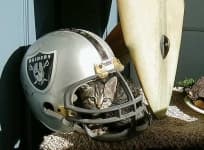 Sample 6 – Football helmet