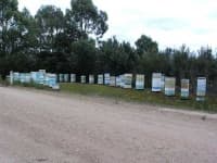 Sample 4 – Apiary