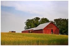 Sample 4 – Barn
