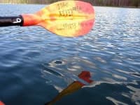 Sample 4 – Paddle