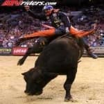 Sample 5 – Bull riding
