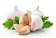 Sample 6 – Garlic