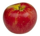 Sample 4 – Apple