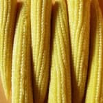 Sample 4 – Sweetcorn
