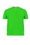 Sample 2 – Green shirt