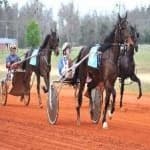 Sample 1 – Harness racing
