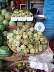 Sample 6 – Custard apple