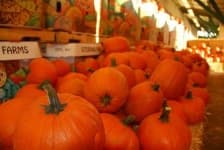Sample 3 – Grocery store
