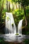 Sample 3 – Jungle