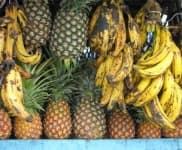 Sample 2 – Pineapple