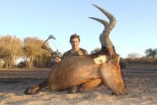 Sample 3 – Hartebeest