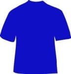 Sample 5 – Blue shirt