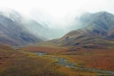 Sample of Tundra