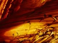 Sample 3 – Smeared