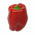 Sample 3 – Capsicum