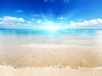 Sample of Sunny