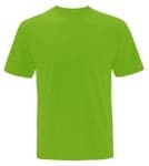 Sample 3 – Green shirt