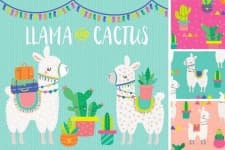 Sample 4 – Cactus
