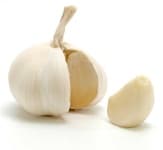 Sample 4 – Garlic