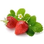 Sample 6 – Strawberry