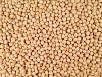 Sample 3 – Soy