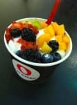 Sample 4 – Frozen yogurt
