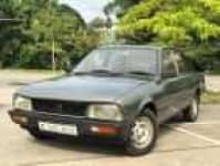 Sample 3 – 505 car