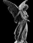 Sample 6 – Angel