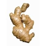 Sample 3 – Ginger