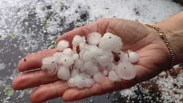 Sample of Hail