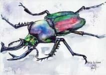 Sample 3 – Beetle