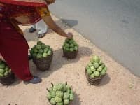 Sample 2 – Custard apple