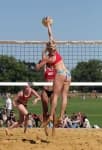 Sample 2 – Volleyball