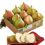 Sample 5 – Pear