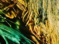 Sample 2 – Smeared