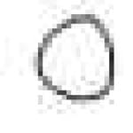 Sample 2 – Circles