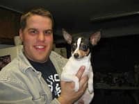 Sample 4 – Toy terrier