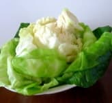 Sample 6 – Cabbage