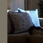 Sample 3 – Fabric