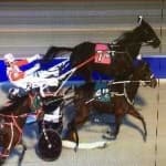Sample 3 – Harness racing