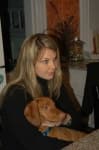 Sample 4 – Vizsla